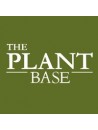 The Plant Base